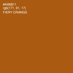 #AB5B11 - Fiery Orange Color Image